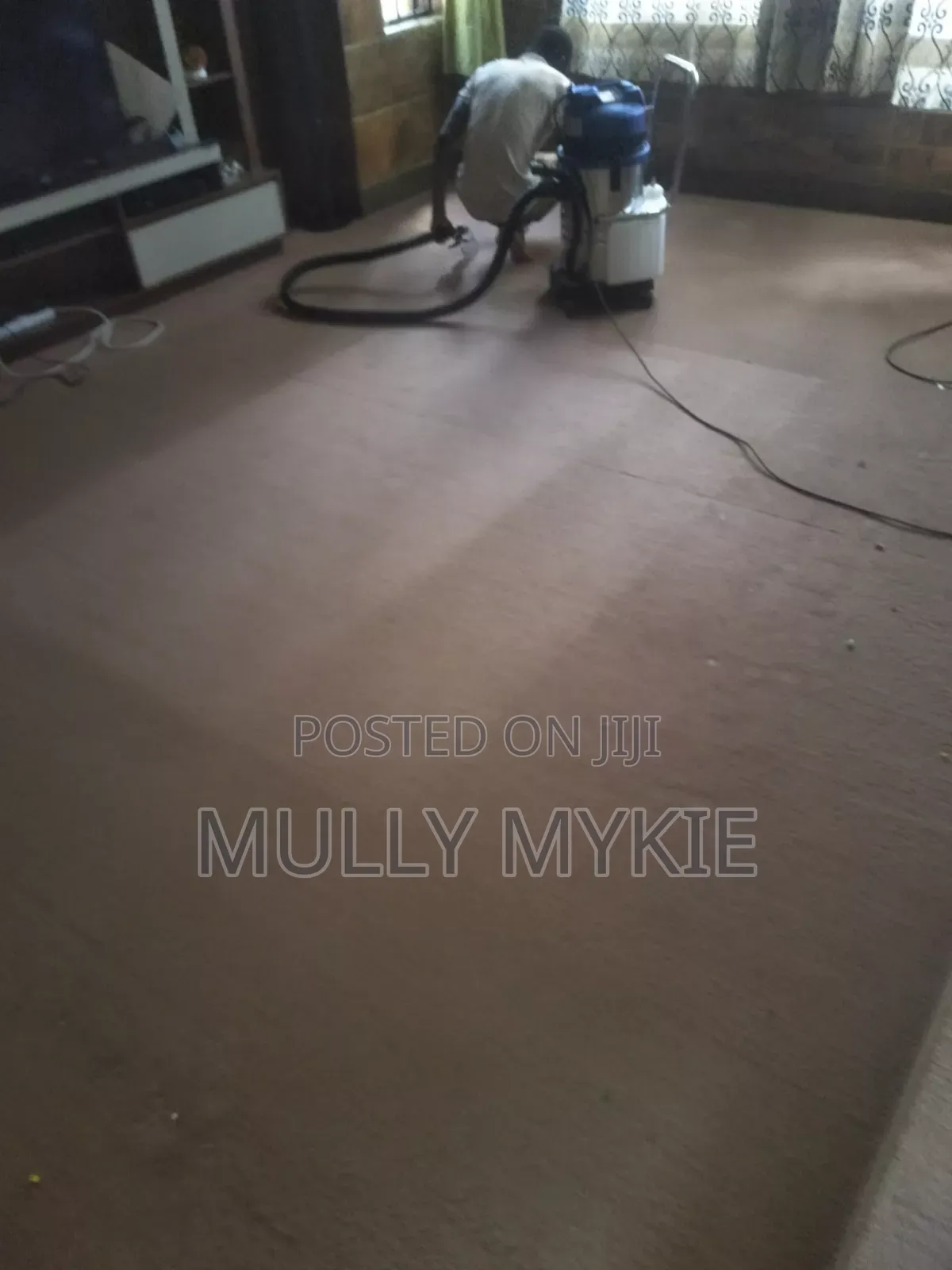 Professional Cleaning Services