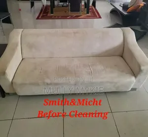 Professional Cleaning Services