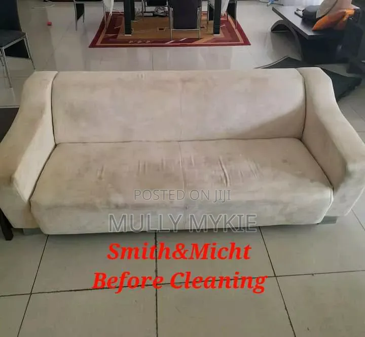 Professional Cleaning Services