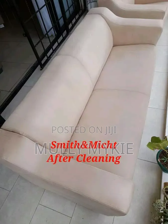 Professional Cleaning Services