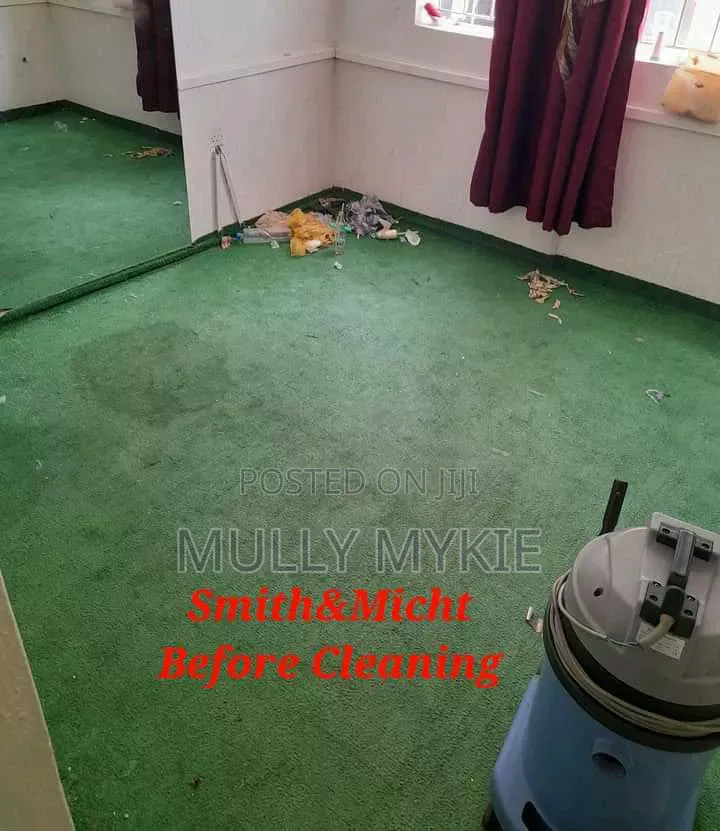 Professional Cleaning Services