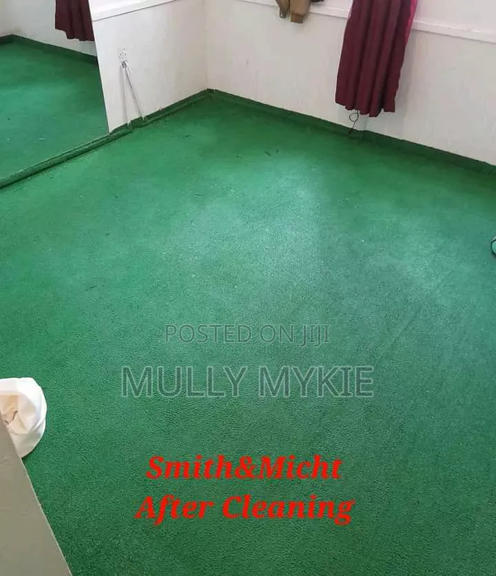 Professional Cleaning Services