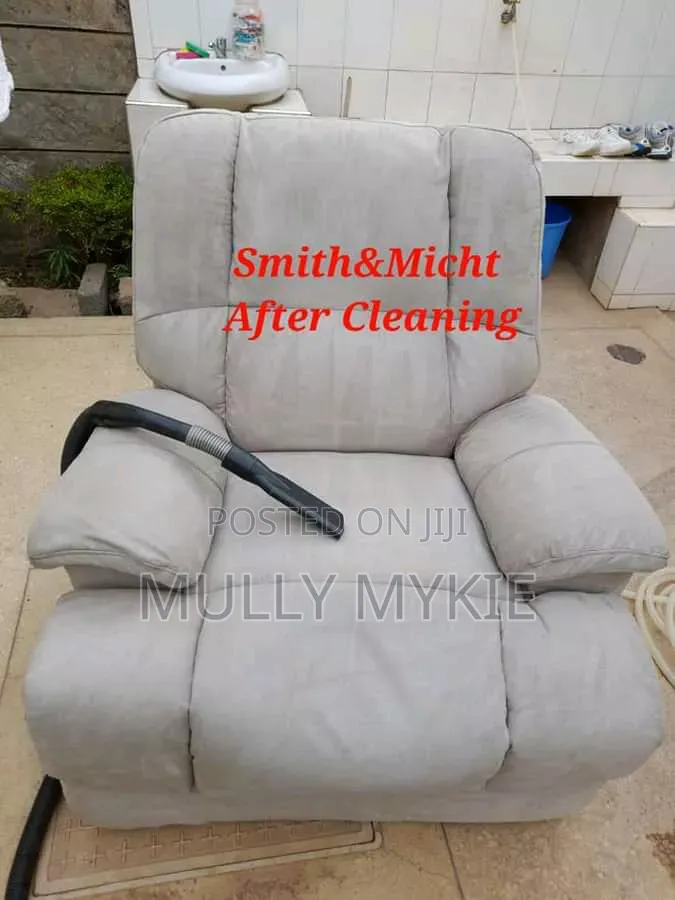 Professional Cleaning Services