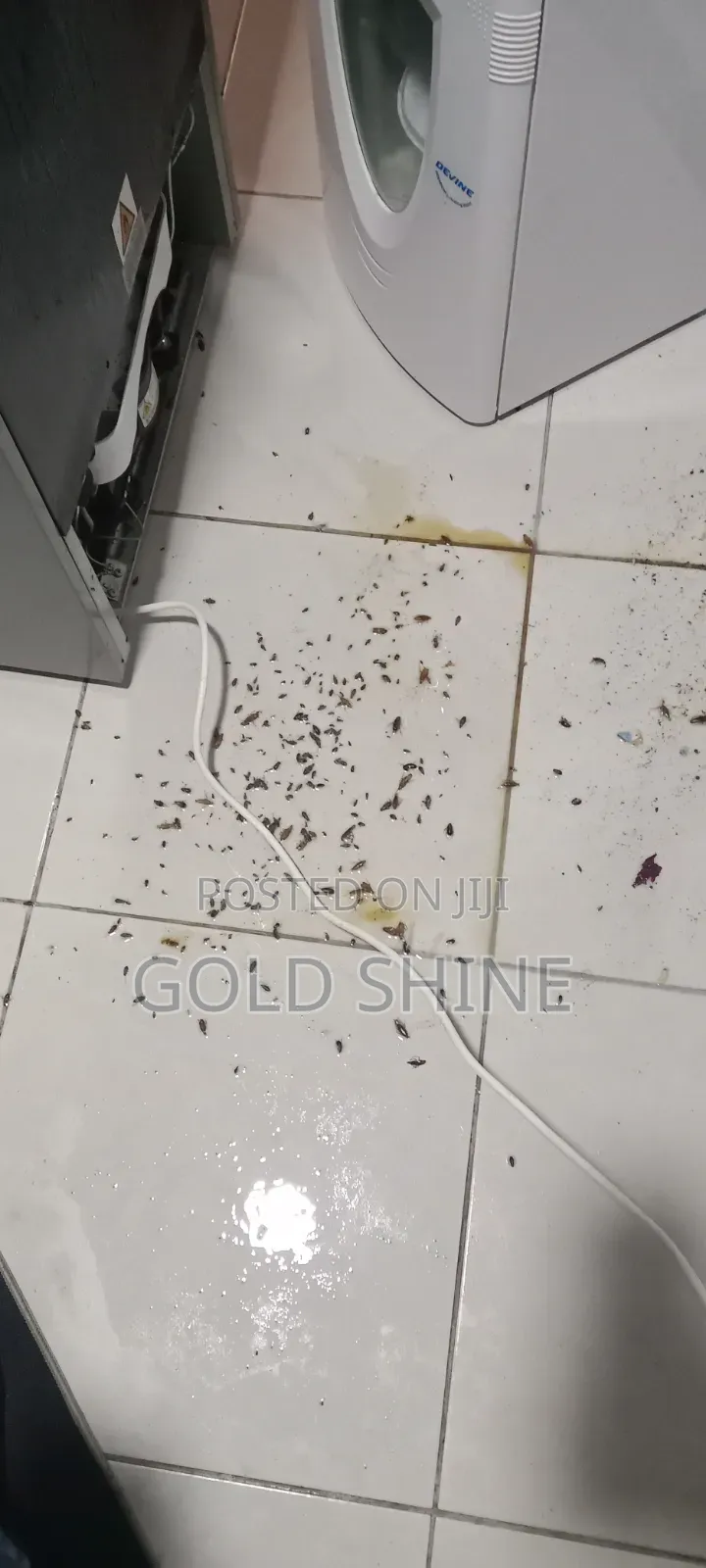 Full House Cockroach Fumigation Services