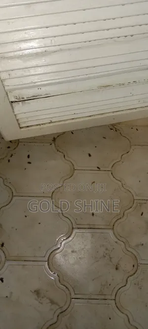 Full House Cockroach Fumigation Services