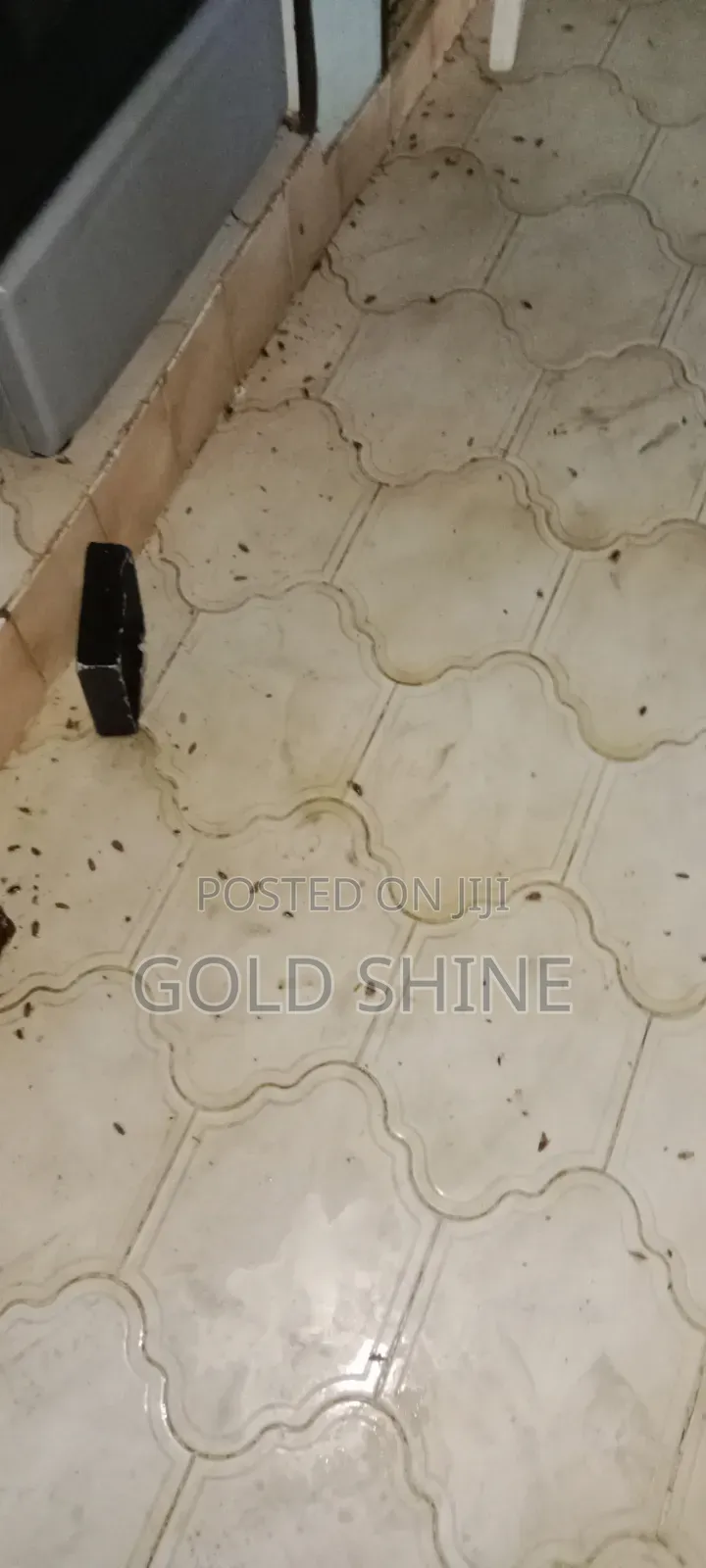 Full House Cockroach Fumigation Services