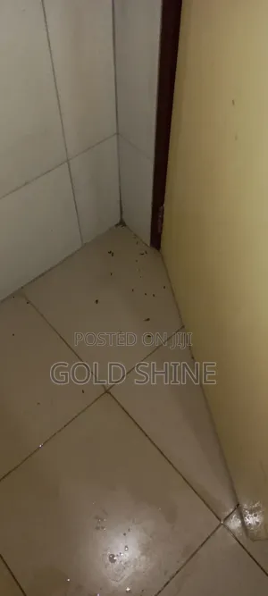 Full House Cockroach Fumigation Services