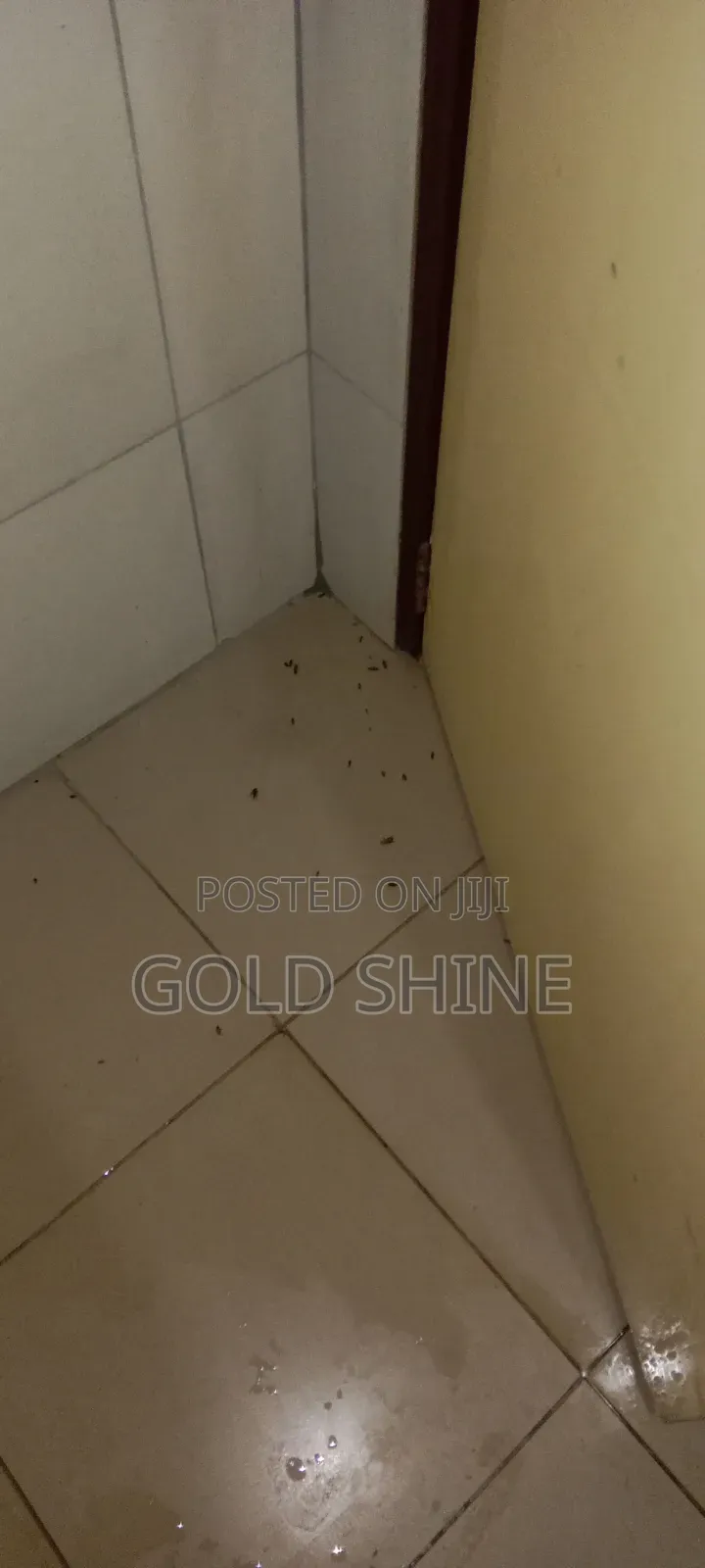 Full House Cockroach Fumigation Services