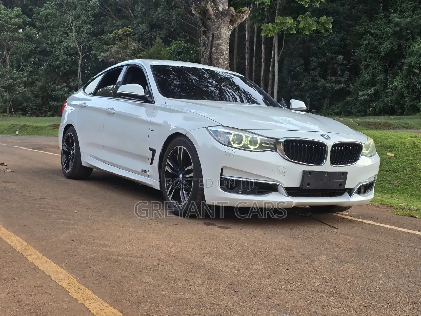 BMW 3 Series 2016 White