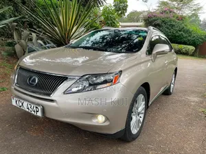 Lexus RX 2010 Gold