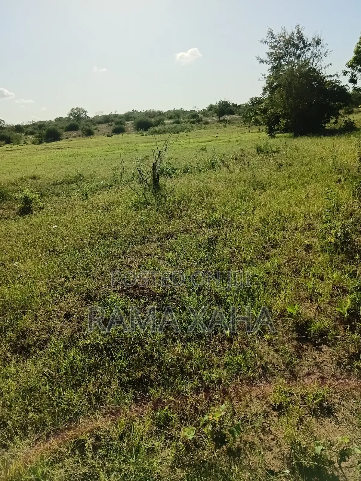 2 Acres for Sale Suitable for Irrigation,Title Deed Available