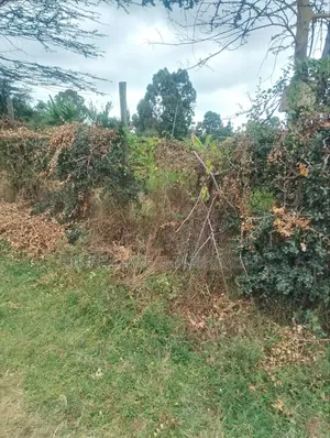 Land for Sale 1/2 in Karen