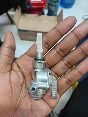 Fuel Petcock Valve