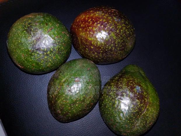 Avacado(Ripe and Unripe)