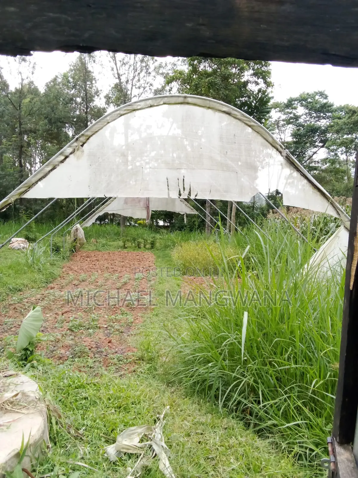 Greenhouse