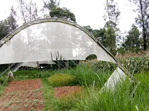Greenhouse
