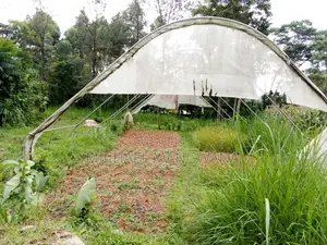 Greenhouse