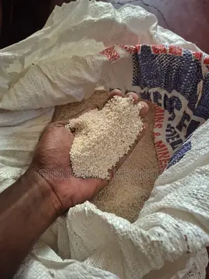 Broken Rice for Dogs