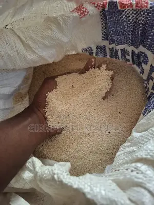 Broken Rice for Dogs