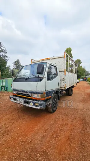 Mitsubishi Canter 1996 White