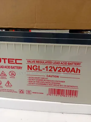 Nippotec 200ah Maintenance-Free Solar Battery 12v