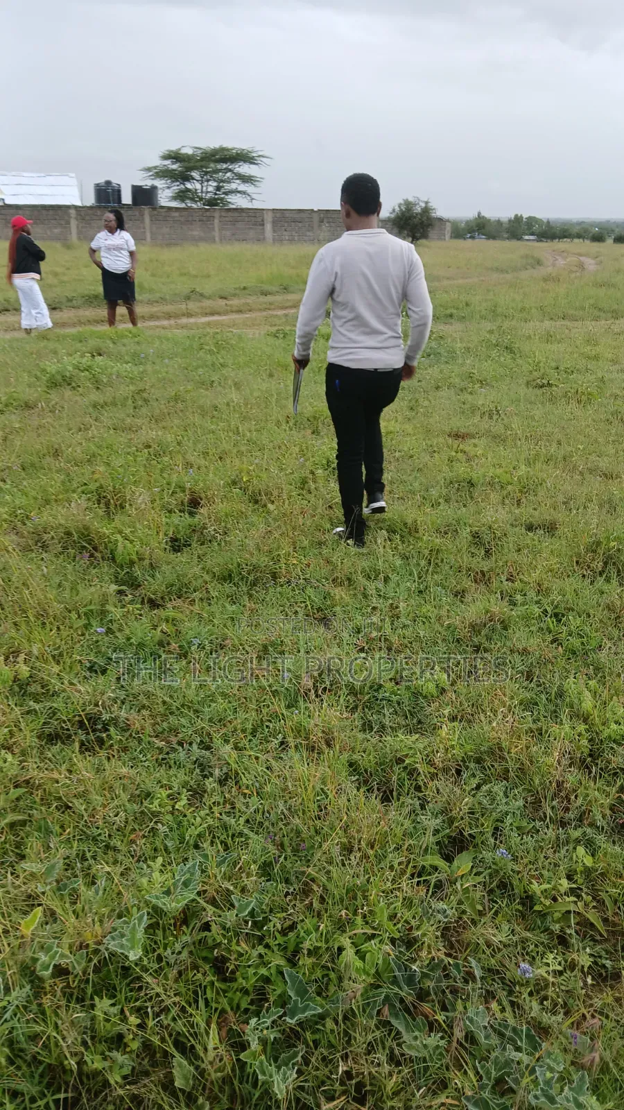 Plots and Lands for Sale