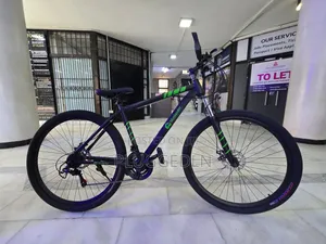 Blue Lander Mtb 29 Bicycle .*
