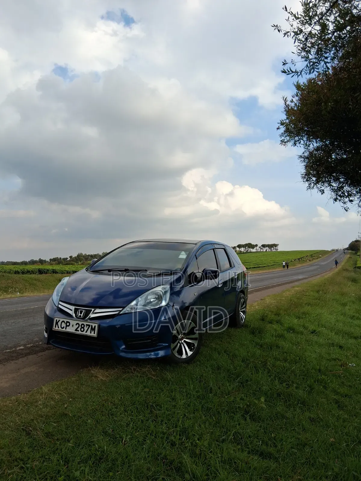 Honda Fit Shuttle 2011 Blue