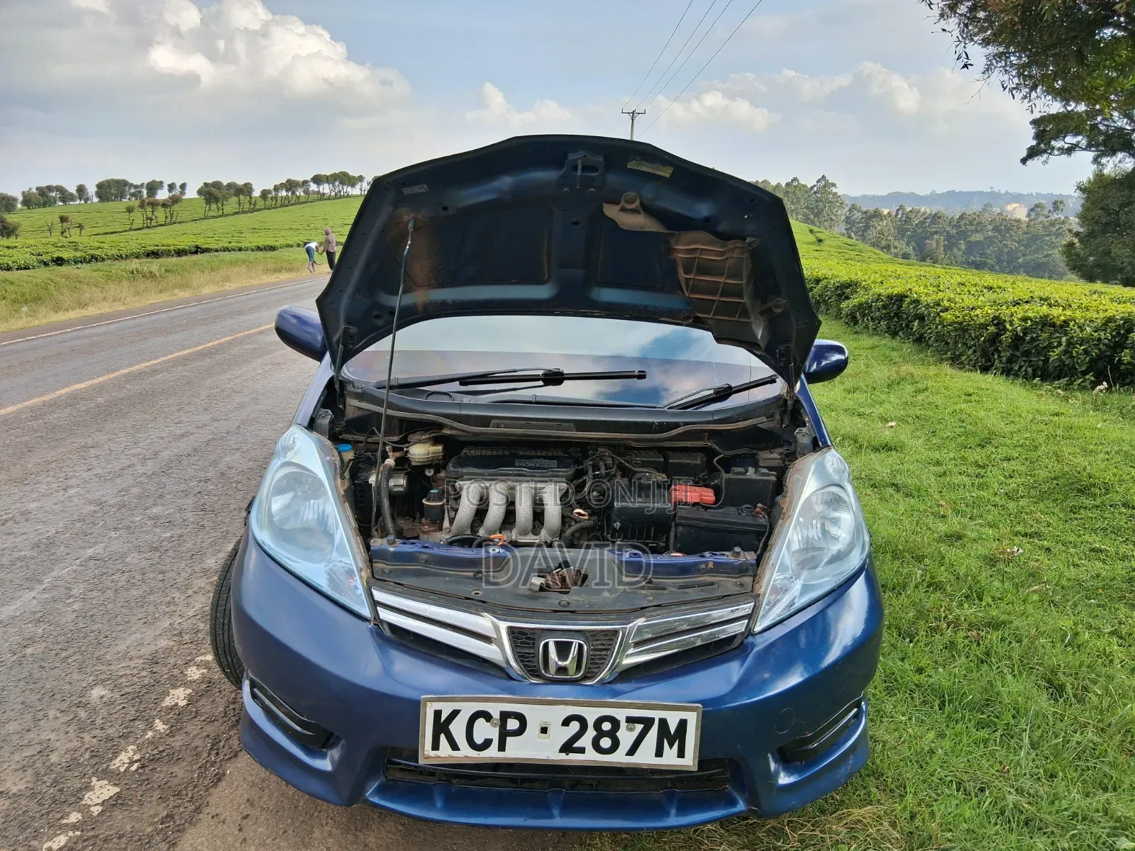 Honda Fit Shuttle 2011 Blue