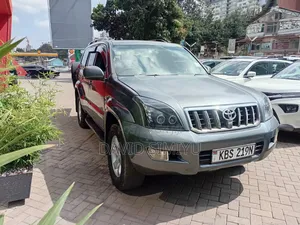 Toyota Land Cruiser Prado 2004 Gray
