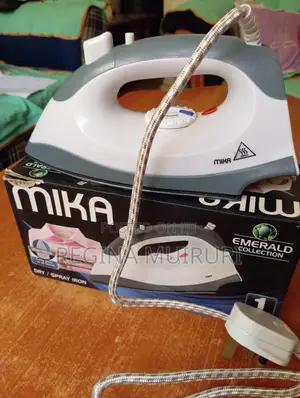 Dry/Spray Iron Box