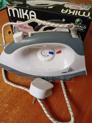 Dry/Spray Iron Box