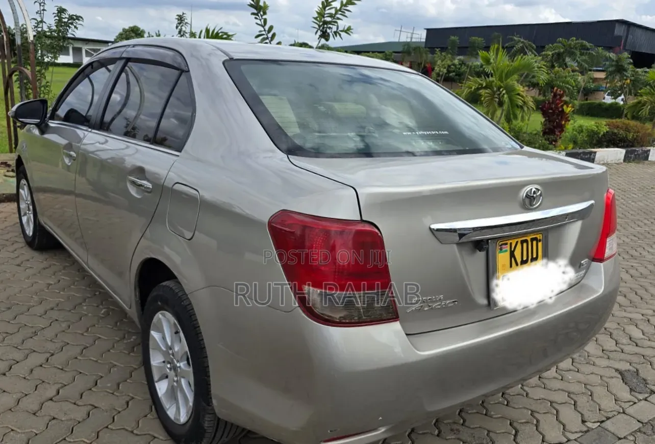 Toyota Axio 2014 Gray
