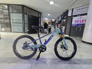 BDF 22" Carbon Steel Bicycles.