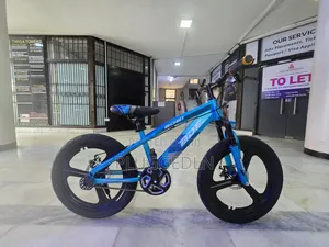 BDF 20" Carbon Steel Frames Bicycle