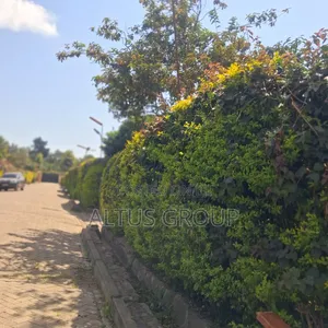 4bdrm Maisonette in Ngong, Oloolua for rent