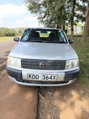 Toyota Probox 2014 Silver