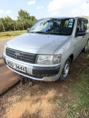 Toyota Probox 2014 Silver