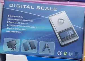 Portable Digital Scale