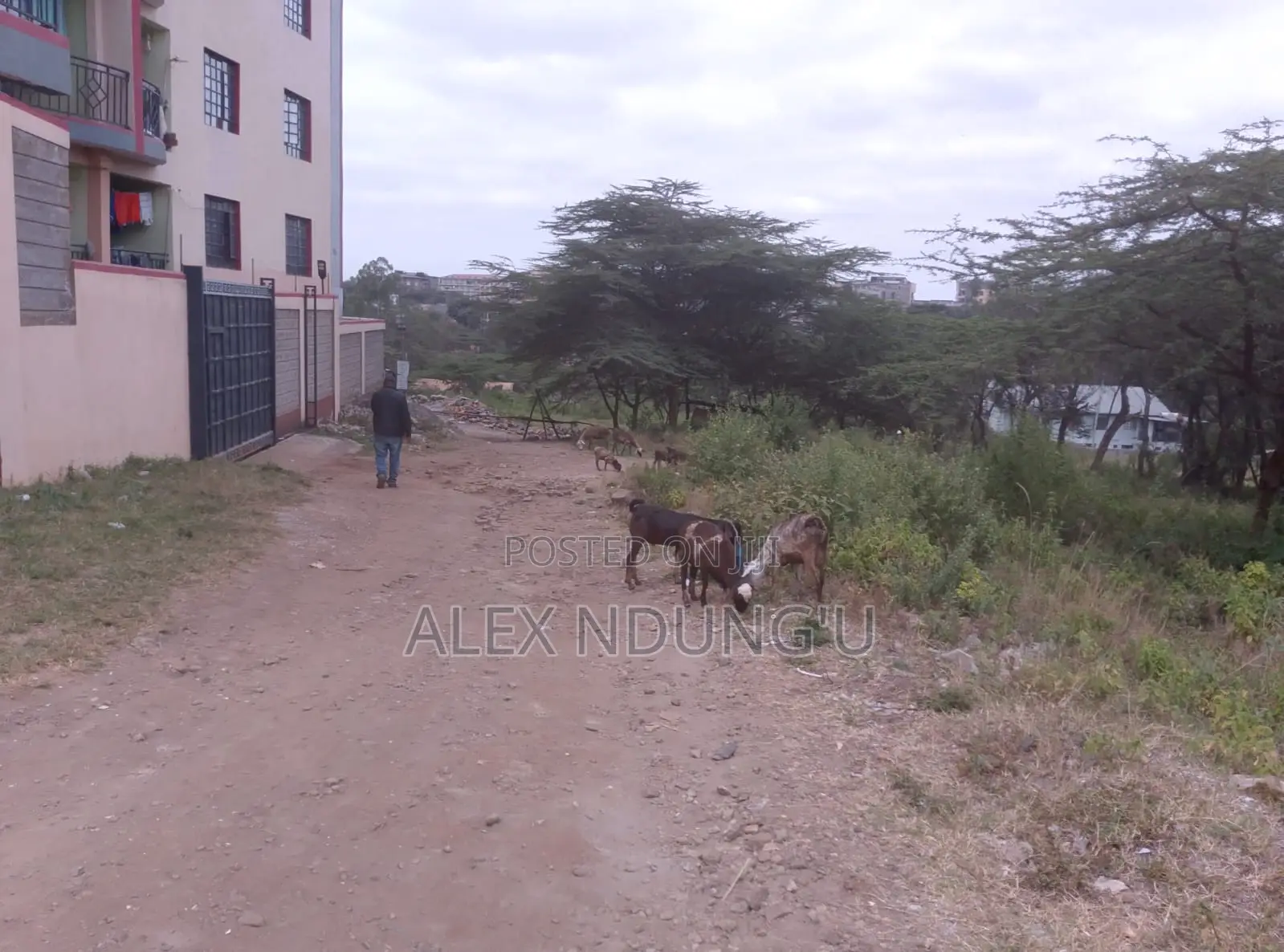 Residential Plot for Sale - Ongata Rongai