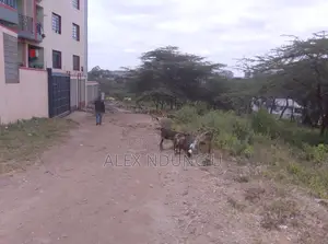 Residential Plot for Sale - Ongata Rongai