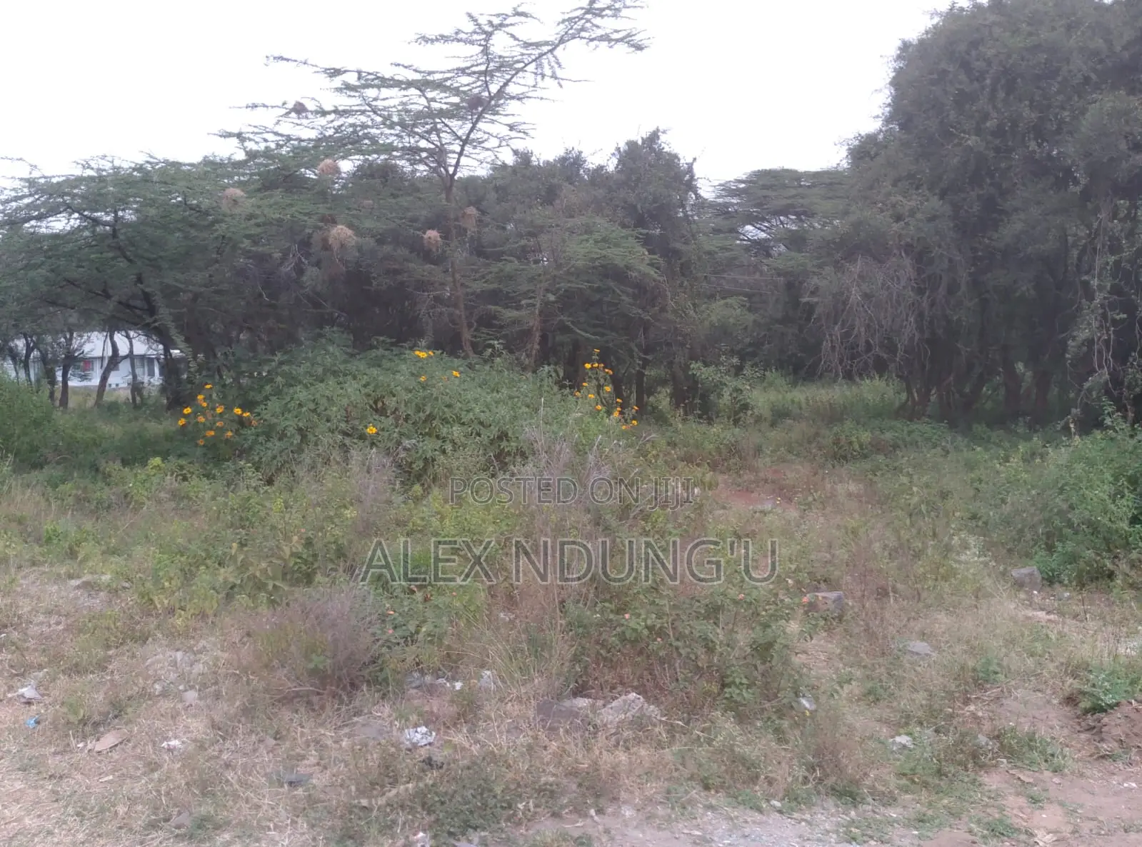Residential Plot for Sale - Ongata Rongai