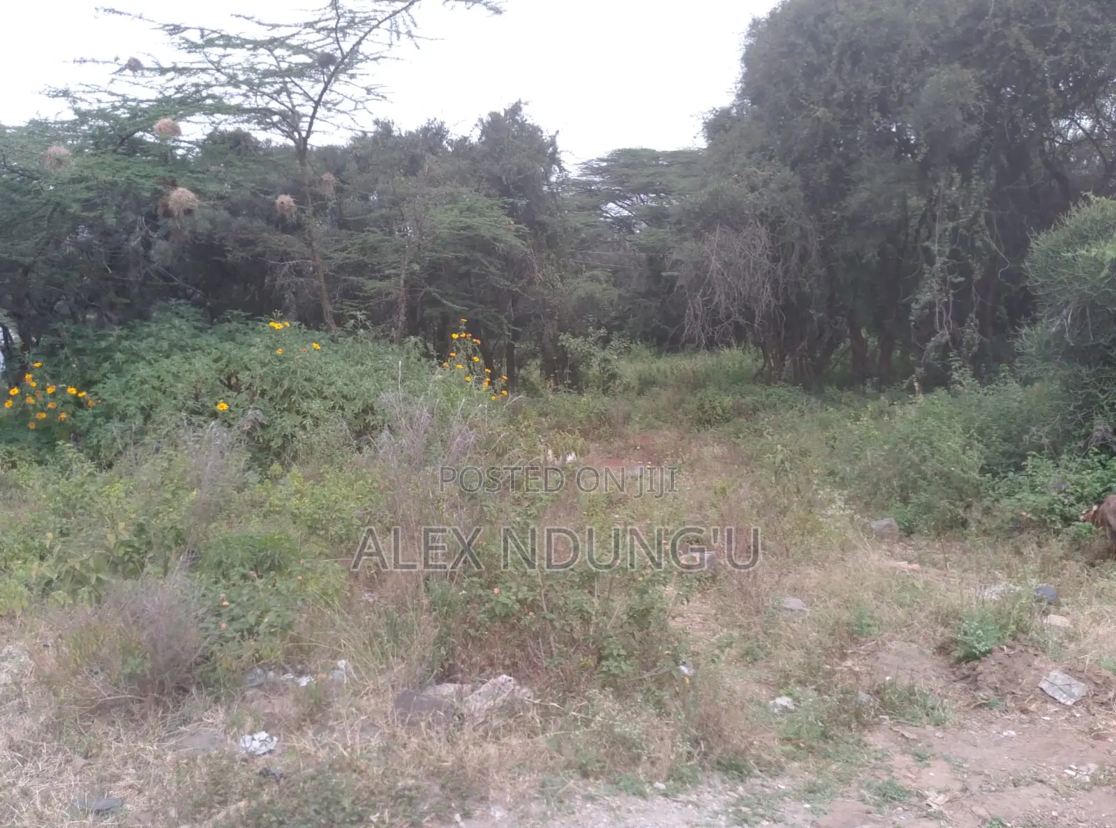 Residential Plot for Sale - Ongata Rongai