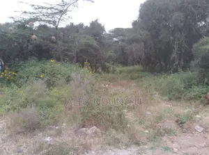 Residential Plot for Sale - Ongata Rongai