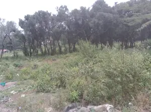 Residential Plot for Sale - Ongata Rongai
