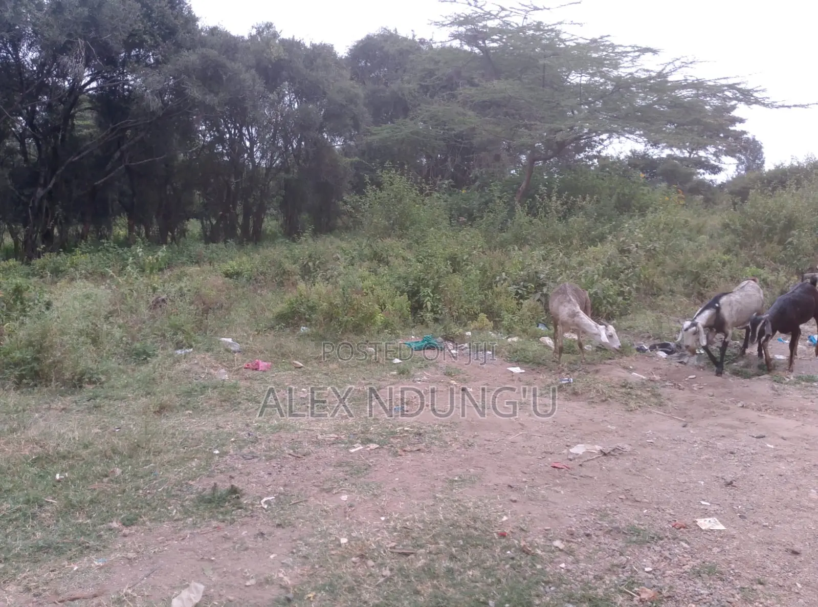 Residential Plot for Sale - Ongata Rongai