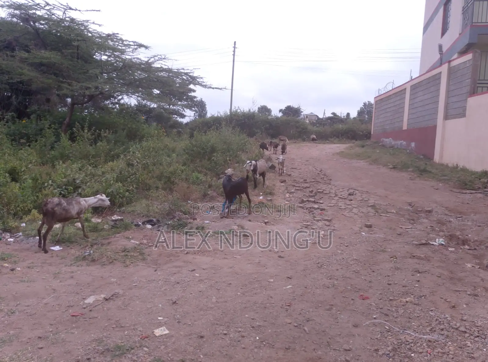 Residential Plot for Sale - Ongata Rongai