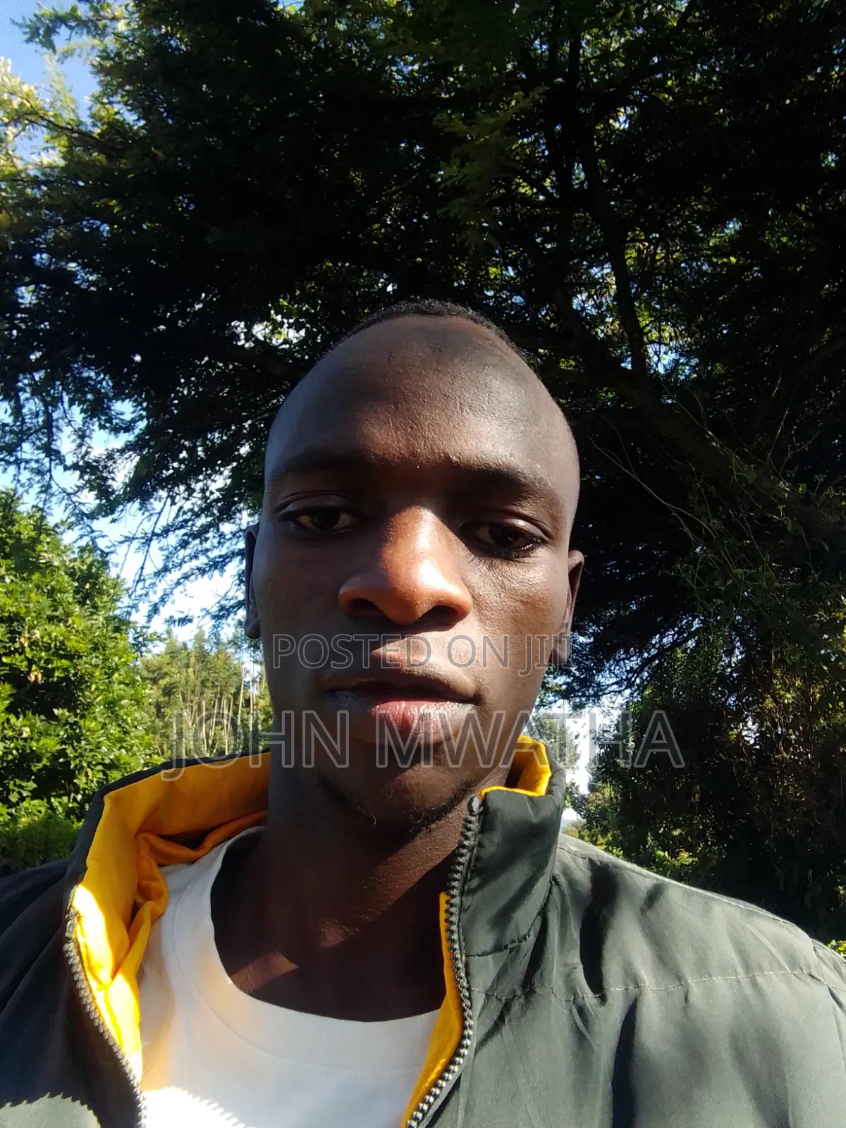 Curriculum Vitae for John Mwatha Thairu