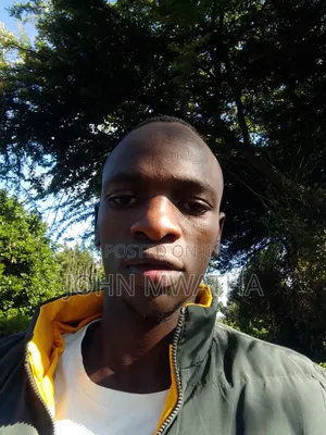 Curriculum Vitae for John Mwatha Thairu