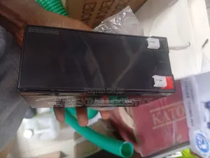 Sunnypex 12 Ah Deep Cycle Battery